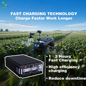 48V 72V 96V <b>Batteries</b> <b>Golf</b> Cart <b>Lithium</b> Ion <b>Battery</b> Pack for Club Boat - Product Image 5