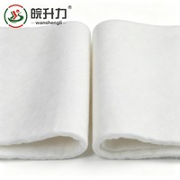 Géotextile non tissé aiguilleté à chaud WSL pour le renforcement des talus routiers et le remplissage des routes
