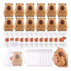 2025 Limited Edition Capybara Squishy <b>Mochi</b> <b>Toys</b> Set Eco-friendly TPR Stress Relief Sensory Fidget Play for Ages 8+ - Product Image 5