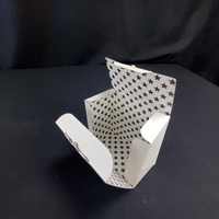 SP3101 Customize Paper Boxes of Various Styles