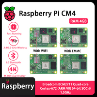 Module informatique Raspberry Pi CM4 4 Go de RAM CM4104000 CM4104008 CM4104016 CM4104032 CM4004000 CM4004008 CM4004016 CM4004032 Variantes