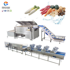 Machine de lavage à brosse souple personnalisée pour fruits et légumes racineux avec réservoir de trempage et sécheuse à ventilateur - Product Image 1