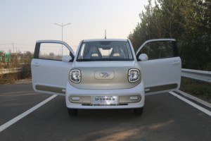 2025 électrique 3 portes 4 places SUV Mini EV avec 170km d'autonomie Pure New Energy Vehicle pour adultes Prix bas adulte EV - Product Image 6