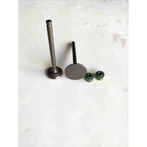 Válvulas de Motor Usadas para Motocicleta Todoterreno Yinxiang 150, Válvulas de Admisión y Escape, Válvulas de Culata, Sellos de Aceite - YX150 - Product Image 2