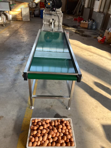 Ligne de machines automatiques de nettoyage et de lavage des œufs de poule et de canard - Product Image 6