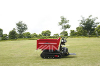 Offre Spéciale ANT Mini Dumper BY1000 Piste Hydraulique Auto-Déchargement Brouette à chenilles pour les fermes et la vente au détail avec roulement fiable