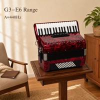 Accordéon 34 touches 60 basses, cadre en érable nacré rouge avec roseau italien, personnalisable OEM