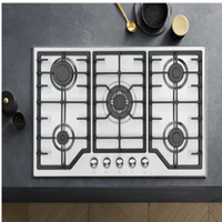 Table de cuisson portable 6 brûleurs gaz-électrique à commande manuelle, prix compétitif, classe d'efficacité énergétique, vente directe