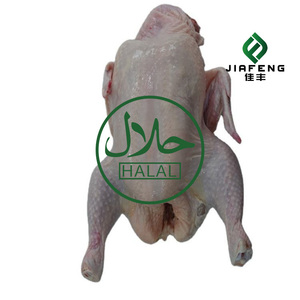 <span class=keywords><strong>Pollo</strong></span> Entero Congelado con Sabor Intenso a Carne, Masticable y No Seco ni Graso - Product Image 3