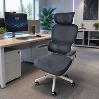 Chaise de bureau ergonomique moderne pivotante avec support lombaire en maille, chaises de bureau de luxe réglables, personnalisation de l'ameublement