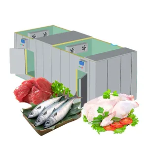 Hello River Brand New style 20ft container refrigerated storage chicken freezer cold room for fish