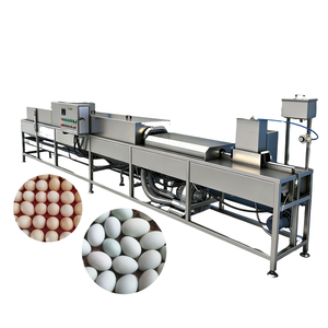 자동 계란 세척기/계란 세척기 판매/소금에 절인 오리알 세척기 - Product Image 2