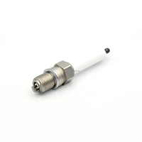 Double bougie à l'iridium compatible avec WARTSILA 34SG / 50SG / 20V34LPG