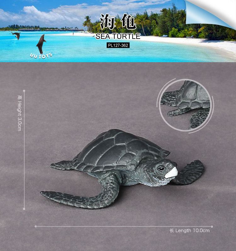 362 Tortue de mer