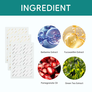 Glp1 Wellness Berberina Patches Não-Oral Tópico Corpo Controle Patch Gut & Saúde Digestiva Extrato Vegetal Gestão Do Corpo - Product Image 3