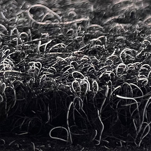 Revêtement de sol de bateau personnalisé tapis marin antidérapant extérieur tapis de sol superposé <span class=keywords><strong>pour</strong></span> <span class=keywords><strong>remorque</strong></span> de bateau tapis <span class=keywords><strong>pour</strong></span> bateau - Product Image 6