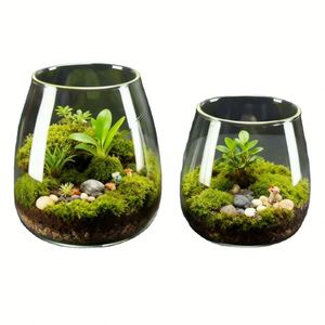 Macetero de Escritorio, Jarrón Decorativo para Cultivo de Suculentas y Plantas, Terrario Ecológico Creativo, Regalo Promocional para el Hogar - Product Image 1