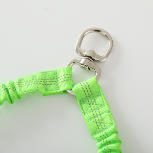 Double élastique sangle <span class=keywords><strong>creuse</strong></span> formation élastique personnalisé robuste en Nylon réfléchissant luxe concepteur collier corde chien laisse - Product Image 4