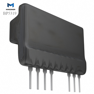 (Power Management Special Purpose Regulators) BP5319