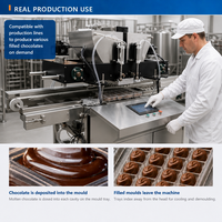 Déposeuse de chocolat semi-automatique à double trémie de 30 L pour la production de bonbons truffes fourrés, petite échelle, OEM