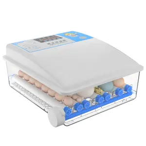 JIATAI wholesale 12 24 36 64 128 192 256 eggs incubators fully automatic mini egg incubator dual power