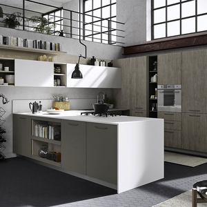 Armoires de cuisine modernes sur mesure avec finition brillante, chariots coulissants à charnières pour projets résidentiels et hospitaliers - Product Image 6