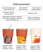 Tasse à café en verre borosilicate soufflé à la main style Ins, 440 ml, avec manchon en cuir portable, paille en bambou, logo personnalisé, couvercle anti-fuite