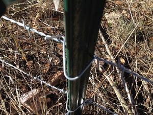 <span class=keywords><strong>T</strong></span> Bài Clip Dây, Hàng Rào Bài Clip - Product Image 6