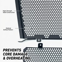 Juego de Protectores de Radiador y Enfriador de Aceite de Acero Inoxidable para BMW S1000RR 2019-2022 S1000R, Rejilla Protectora Modificada, Venta al Por Mayor