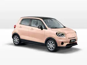 2024 nóng bán leapmotor mini xe điện cltc 200km fwd 4 chỗ ngồi giá rẻ nhất Mini EV xe leapmotor T03 2023