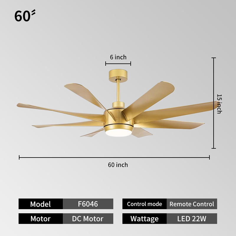 สีทอง + 60นิ้ว