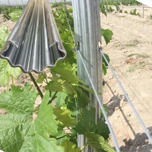 <span class=keywords><strong>Postes</strong></span> de Enrejado para Huertos y Viñedos al por Mayor, Metal Galvanizado con Marco de Acero y <span class=keywords><strong>Madera</strong></span>, Superficie Recubierta, Fácil de Montar - Product Image 3