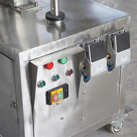 RVS fruit- en mango-schilmachine, pompoenschilmachine, groenteschilmachine