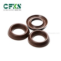 Joint d'étanchéité à l'eau de taille standard personnalisé CFKS 18*32*5.5, résistant à la corrosion, joint d'étanchéité à l'eau et à l'huile de type V, joint d'étanchéité à l'huile en caoutchouc imperméable