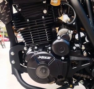 มอเตอร์ไซค์วิบากสำหรับผู้ใหญ่ รุ่น K23 Mt250 ปี 2024 เครื่องยนต์ 4 จังหวะ 250 ซีซี โมโตครอส 300 ซีซี ระบบขับเคลื่อนโซ่ Kcj เบรกดิสก์หน้า/หลัง ความเร็วสูงสุด 80 กม./ชม. น้ำหนัก 113 กก. K23 2 จังหวะ - Product Image 6