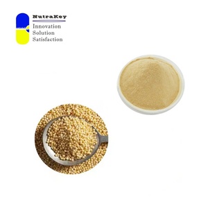 Polvo de extracto de mijo natural 10:1 | Extracto de semilla de Panicum Miliaceum | Orgánico, no GMO para alimentos y cosméticos | Probado por HPLC - Product Image 2