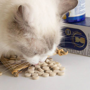 Suplemento de Condroitina para Pets - Reparação de Articulações para Animais de Estimação, Amostras Grátis - Product Image 3