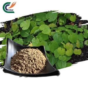 Estratto di Epimedium Idrosolubile in Polvere ad Alta Concentrazione per la Salute delle Ossa e Proprietà Afrodisiache - Vendita Diretta dalla Fabbrica OEM - Product Image 3