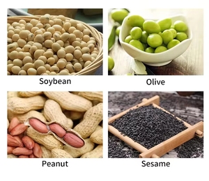 Piccola Pressa Idraulica Automatica per Olio di Sesamo, Soia, Mandorle, Olive, Arachidi - Capacità 50kg/h per Uso Domestico - Product Image 2