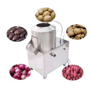 Machine à éplucher les légumes à haute efficacité |   100-300 kg/h pour pommes de terre, patates douces et gingembre - Product Image 2