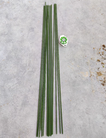 Piliers horticoles pour tuyaux en acier revêtus de plastique Supports pour plantes Racks pour fleurs de vigne grimpante en forme de concombre Tiges de support pour roses