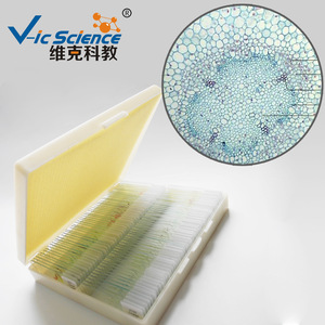 Factory direct supply: Broad bean root cross section, biological slide, <b>microscope</b> slide specimen, teaching and experimental - Product Image 2