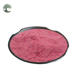 Extrait naturel de baie miracle <span class=keywords><strong>en</strong></span> <span class=keywords><strong>poudre</strong></span>, <span class=keywords><strong>poudre</strong></span> de fruit mystérieux Miraculin, qualité alimentaire 99%, extraction par solvant - Product Image 2