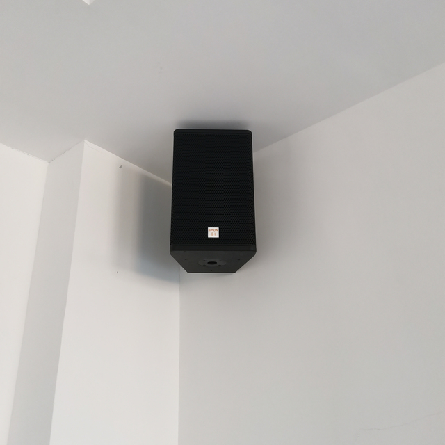 300W Professional Audio 8/10/12/15 Inch Two Way Passive Full-range Conference Speaker pa System Indoor Speaker Auditorium Sound