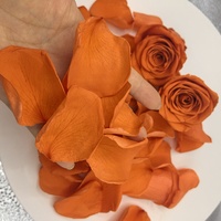 Gedroogde sinaasappelroosblaadjes confetti bruiloft biologisch afbreekbare geconserveerde bloemblaadjes bulk losse feestdecoratie gevriesdroogde bloemen zakjes