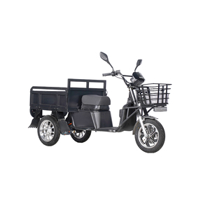 Conception personnalisée Tricycle <span class=keywords><strong>solaire</strong></span> <span class=keywords><strong>électrique</strong></span> à 3 roues Cargo Truck Trade Motorcycle Bike <span class=keywords><strong>Prix</strong></span> - Product Image 3