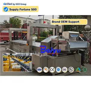 Baiyu Customizable Frozen Fruit and Vegetables Blanching Cleaning Cutting Quick Frozen Machine Processing Line
