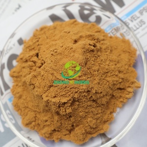 Semprotan kering alami kering ekstrak daun Monnieri <span class=keywords><strong>Bacopa</strong></span> bubuk <span class=keywords><strong>20</strong></span>% 50% 55% bacocasides - Product Image 4