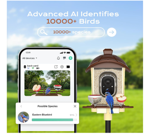 Cámara para Comedero de Aves de Alta Calidad al por Mayor, 2K HD, Panel Solar, Tarjeta de 32 GB, 4 en 1, Percha, Disfruta de la Observación de Cerca, Inalámbrica, para Exteriores - Product Image 5