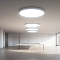 Panneaux de plafond tendu avec cadre en aluminium et éclairage LED encastré pour hall d'hôtel, avec membrane souple en tissu PVC pour décoration
